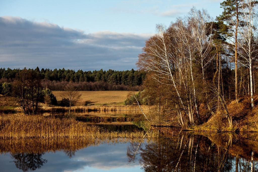 Przystanek Tlen Bed & Breakfast Eksteriør bilde